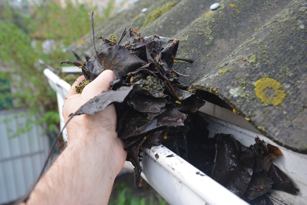 Man Cleaning Gutter
Dunkirk, MD
Maryland
20754
Two Brothers Roofing